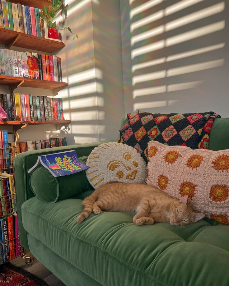 a cat laying on top of a green couch in front of a bookshelf