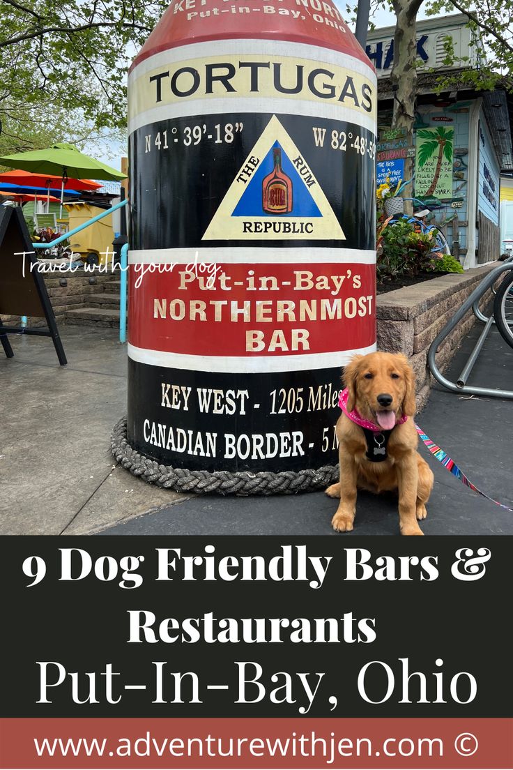 a dog sitting on the ground next to a large sign with words that read, portland's northernmost bar and canadian border - 5 put - in - in - bay