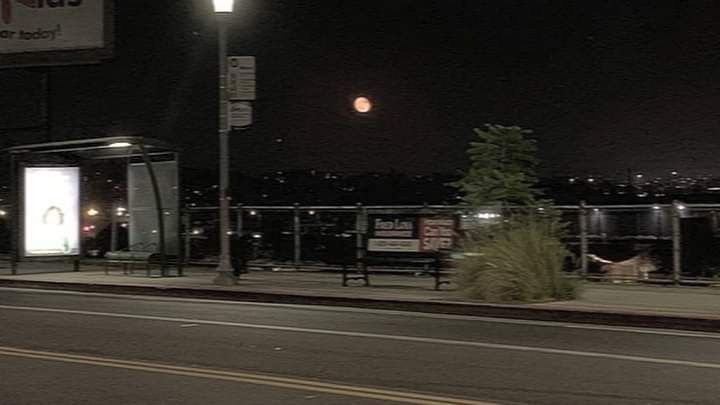 an empty bus stop at night with the lights on