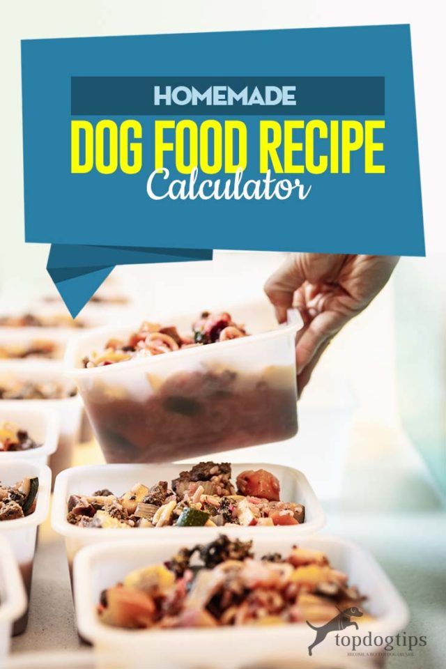 the homemade dog food recipe calculator is ready to be served in small dishes