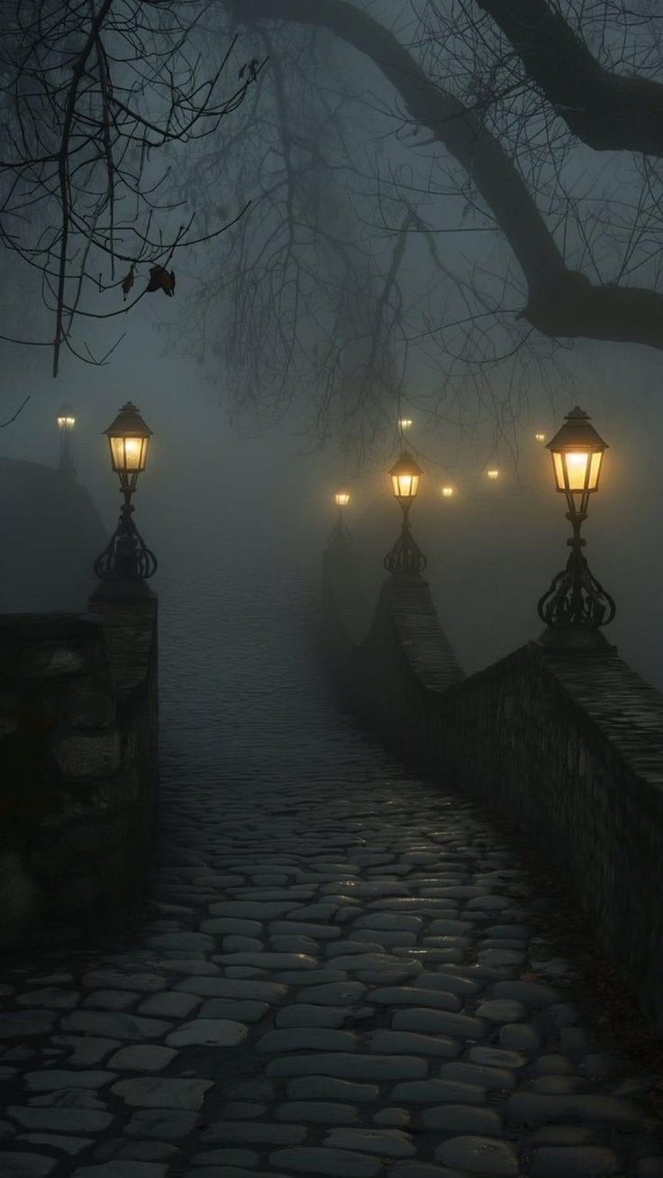 foggy night with street lights and cobblestone walkway leading to tree lined area