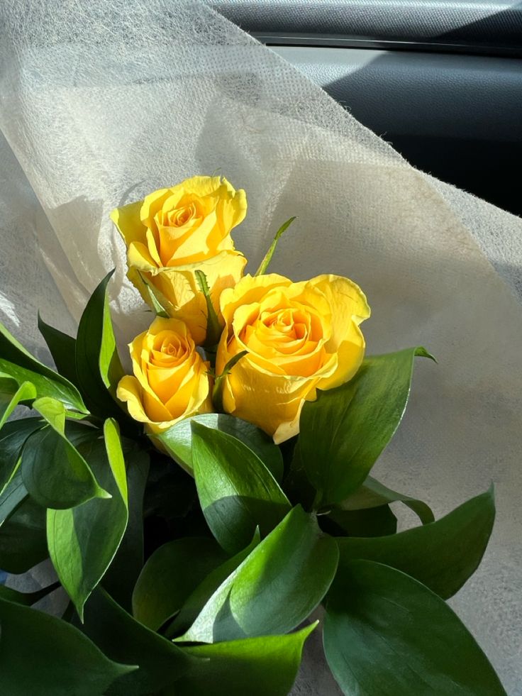 three yellow roses are sitting in the middle of some green leaves on a white cloth