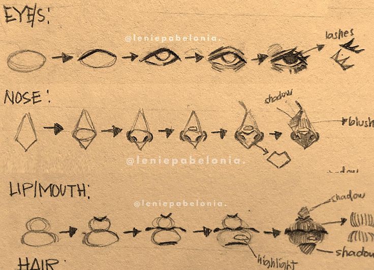 an image of different types of eyes drawn on paper