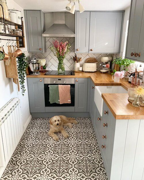 a dog laying on the kitchen floor in front of an oven and counter top with potted plants