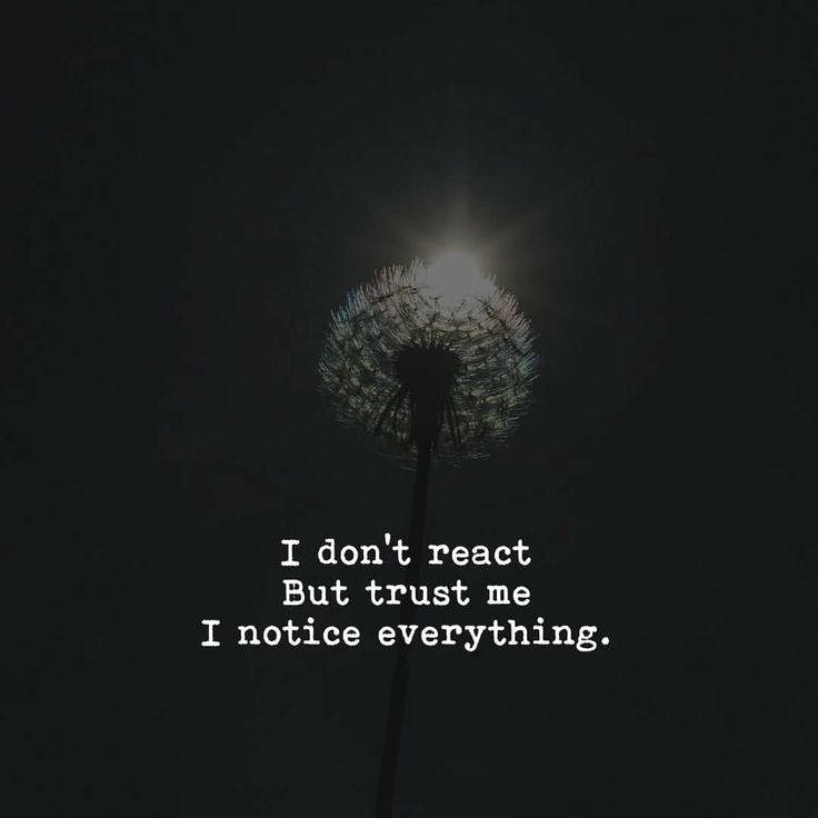 a dandelion with the words i don't react but trust me i notice everything