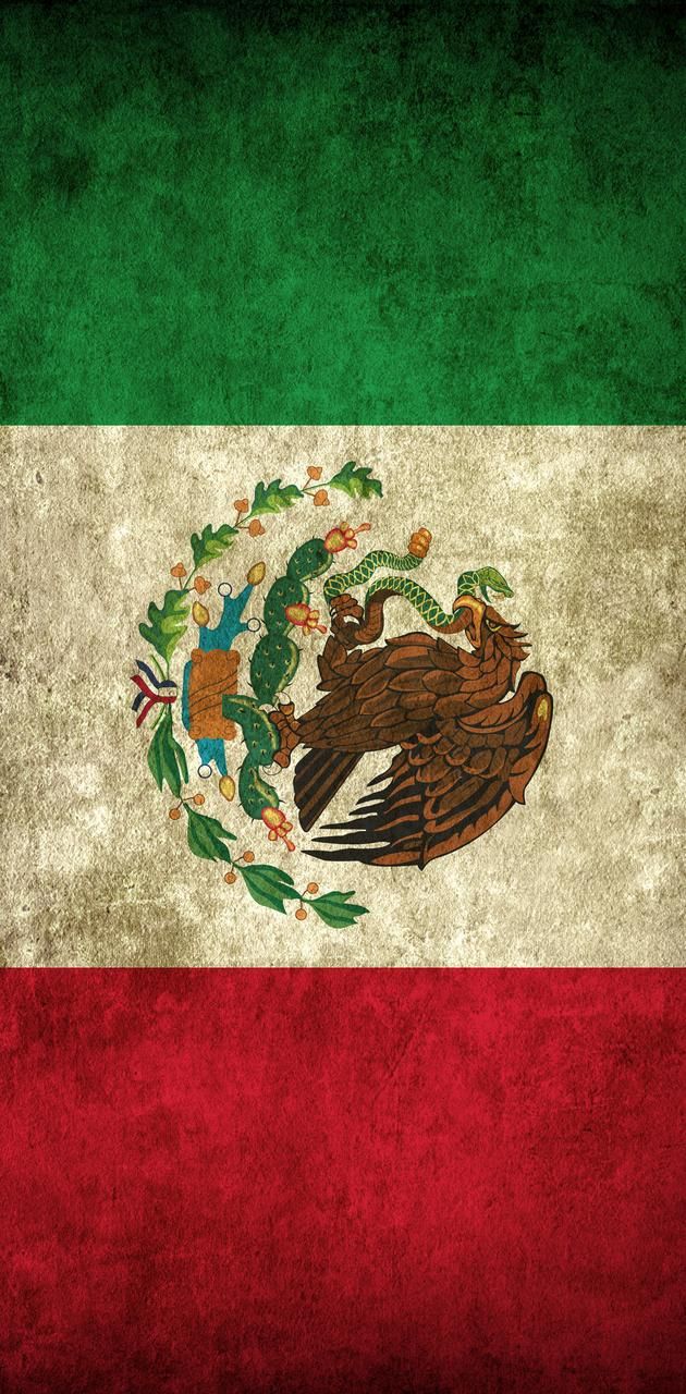 the flag of mexico is painted on an old, grungy wallpaper background