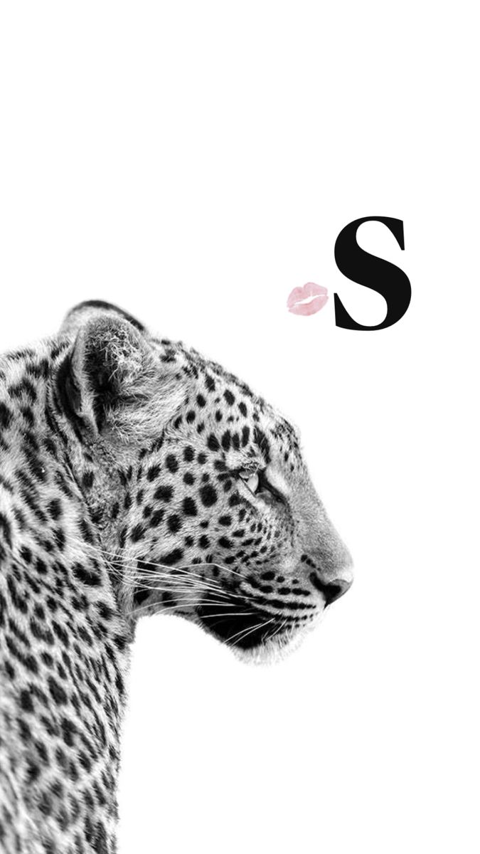 a black and white photo of a leopard with the letter s above it's head