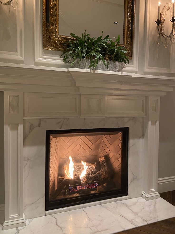 a fireplace with a mirror above it and a plant on the mantle in front of it