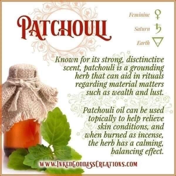 a bottle of patchoul sitting on top of a green leafy plant next to a