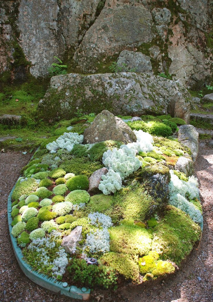 a circular garden with moss growing on the rocks