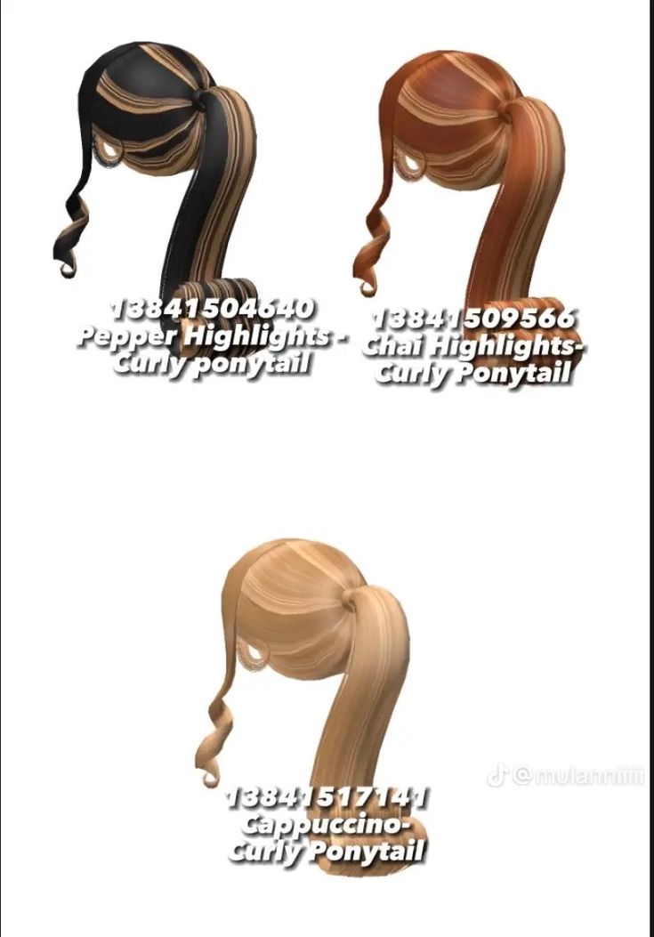 the different types of hair are shown in this graphic style, including ponytails and braids