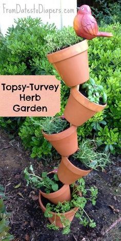 a bird sitting on top of a potted plant in front of a sign that says topsy - turvy herb garden