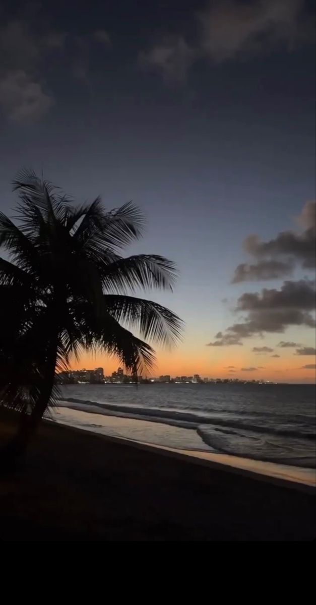 a palm tree sitting on top of a sandy beach under a cloudy blue sky at sunset