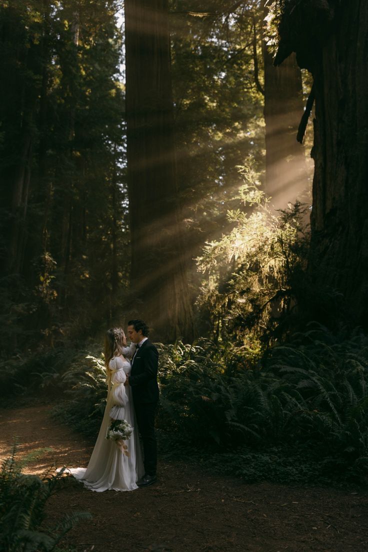 a bride and groom are standing in the woods with sunlight streaming through the trees behind them