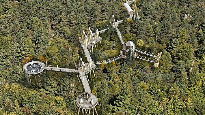 an aerial view of a forest with several structures in the middle and trees surrounding it