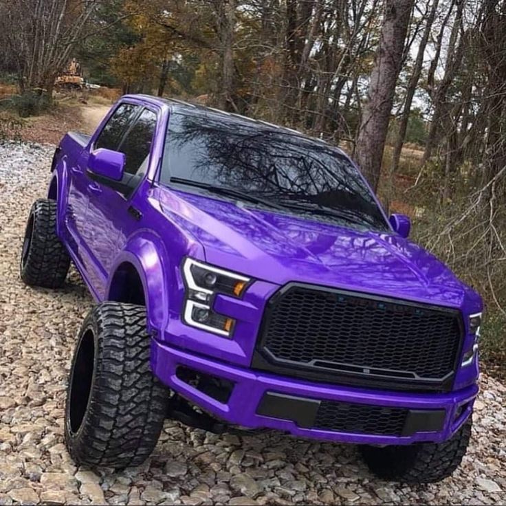 a purple truck is parked on some rocks in the woods and it looks like it's ready to go off road