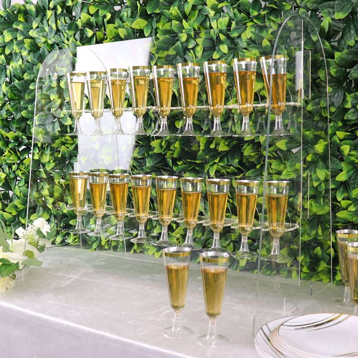 several glasses of champagne are lined up on a table with plates and napkins in front of a green wall