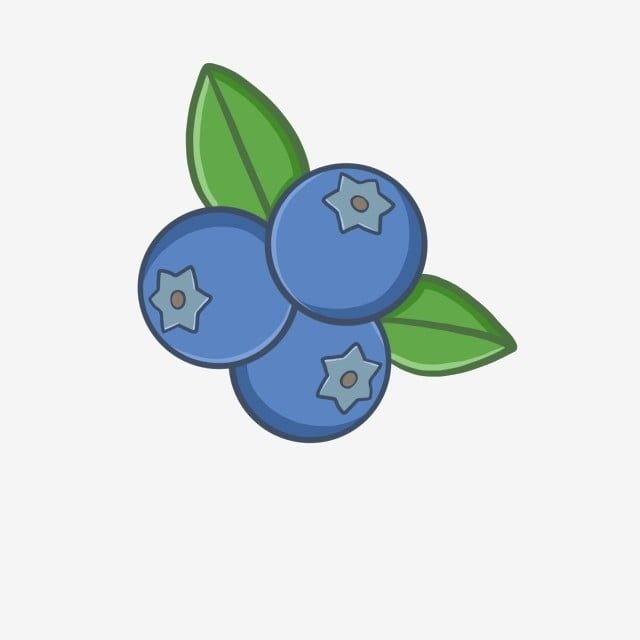 three blueberries with leaves on top