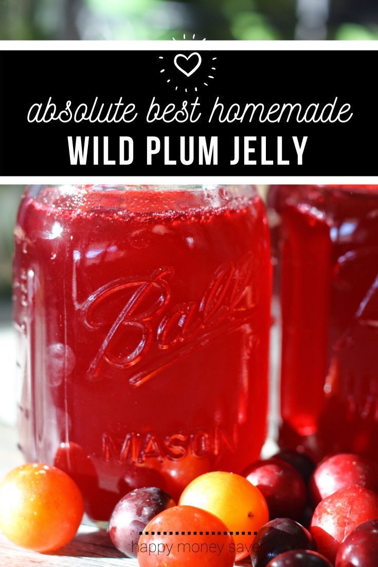 two mason jars filled with wild plum jelly next to oranges and cherries on a table