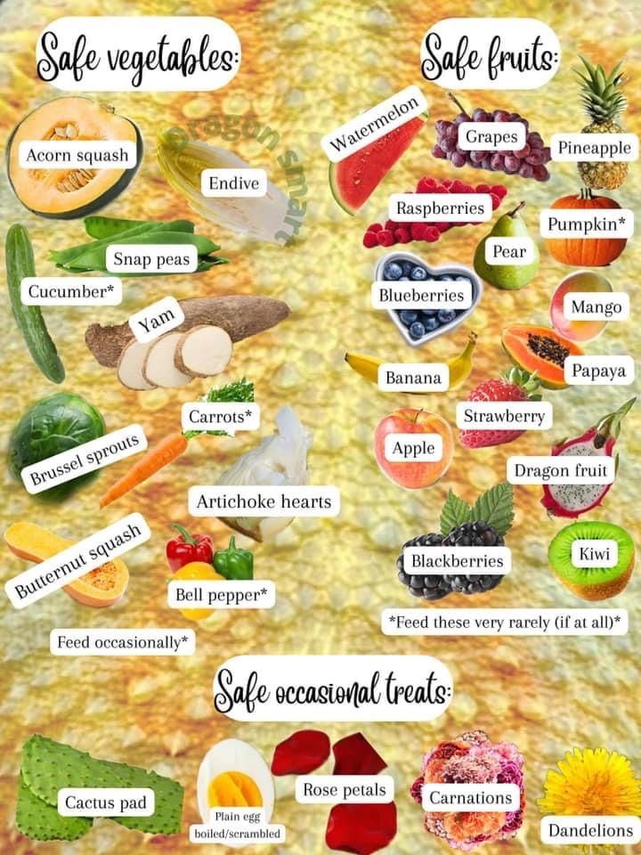 a poster with different fruits and vegetables on it