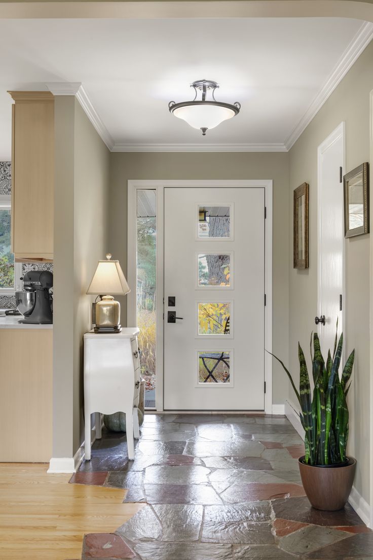 an entry way with a potted plant on the floor and a door in the background