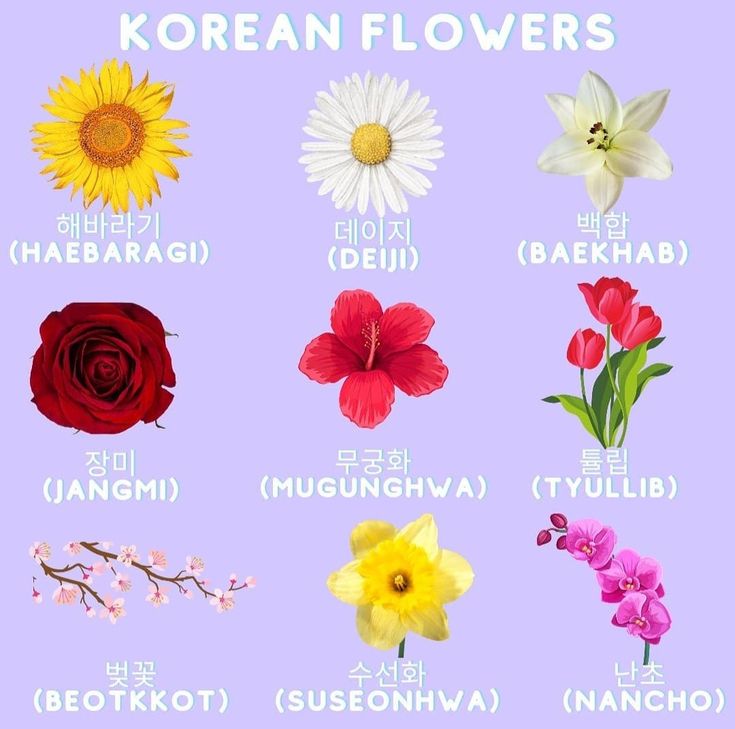 an image of flowers that are in korean