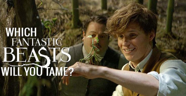 two young men pointing at something in front of them with the caption which fantastic beasts will you tame?