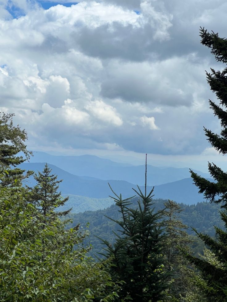 Mountains, Smoky Mountains North Carolina Mountains Aesthetic, Smokey Mountains Tennessee Aesthetic, Black Mountain North Carolina, Smoky Mountain Aesthetic, North Carolina Forest, Smoky Mountains North Carolina, Bryson City, Usa States, North Carolina Mountains