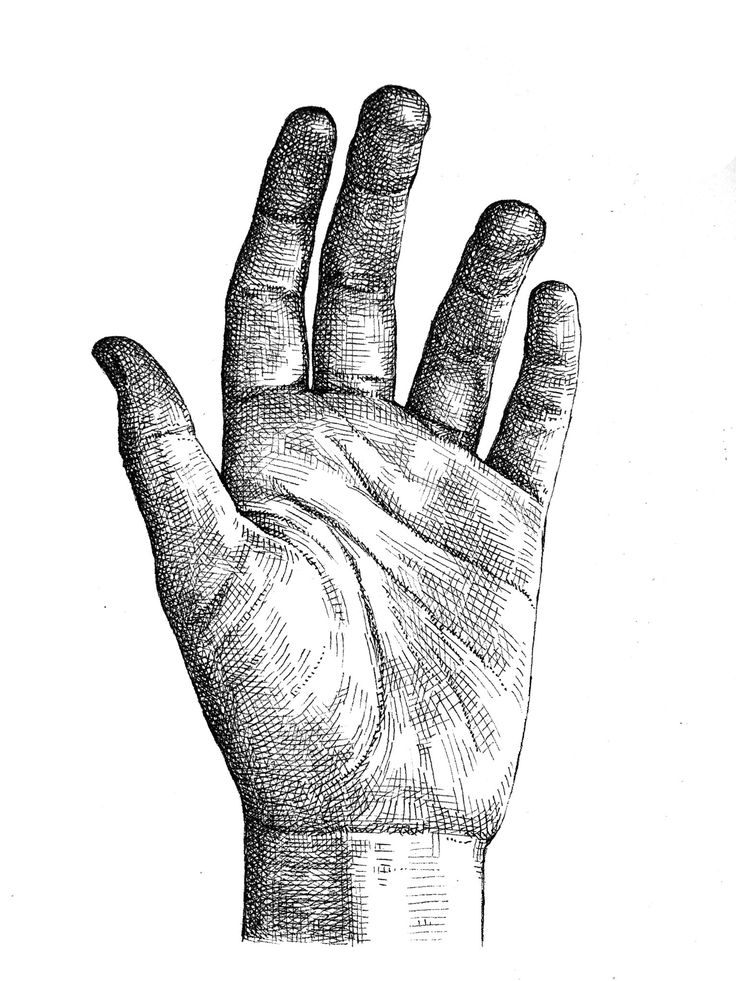 a drawing of a hand holding something in it's palm