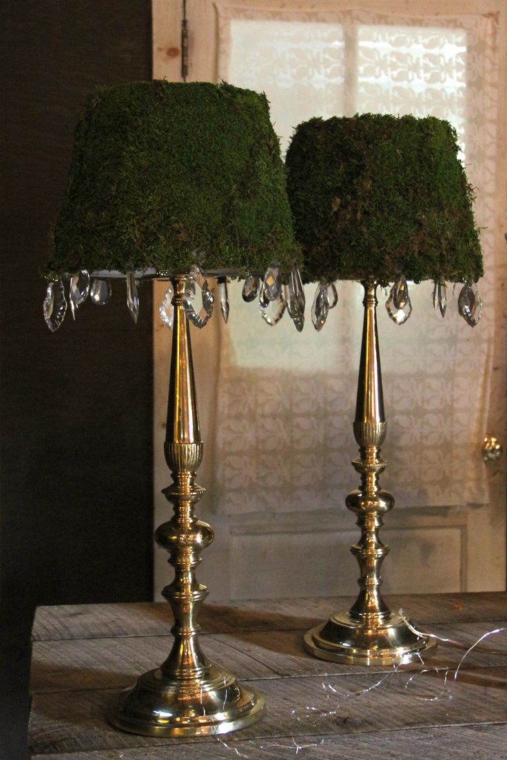 two gold candlesticks with moss covered lampshades in front of a window