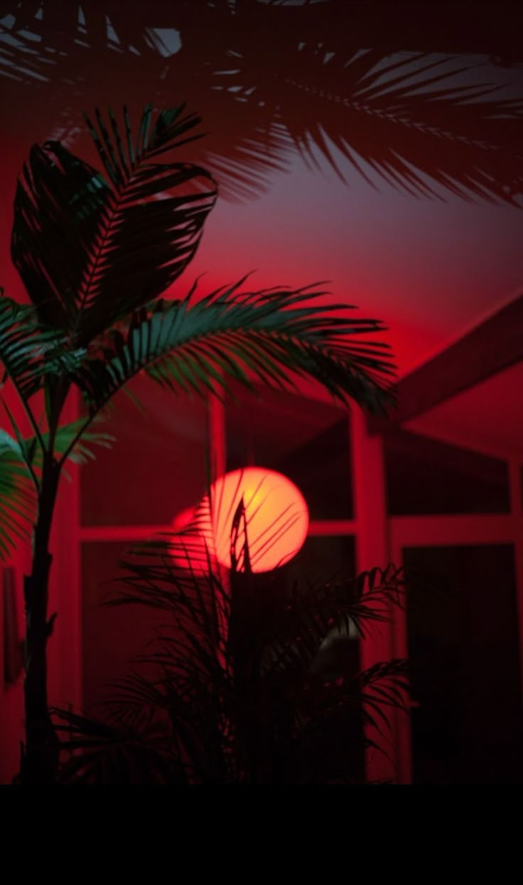 the sun is setting behind palm trees in front of a red building with large windows