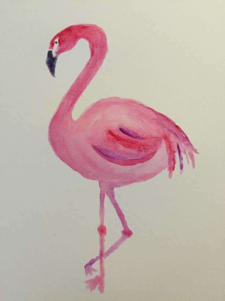 a painting of a pink flamingo on a white background