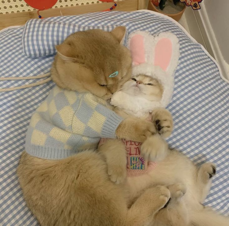 two kittens are sleeping together on a bed with bunny ears and sweaters,