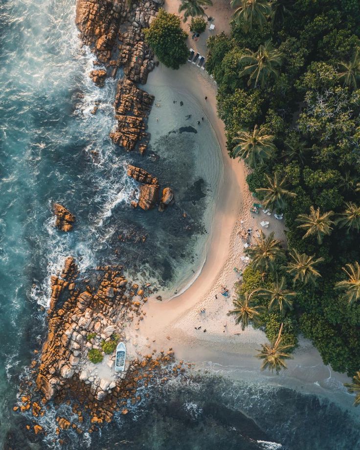 an aerial view of the beach and ocean with palm trees in the foreground, taken from above