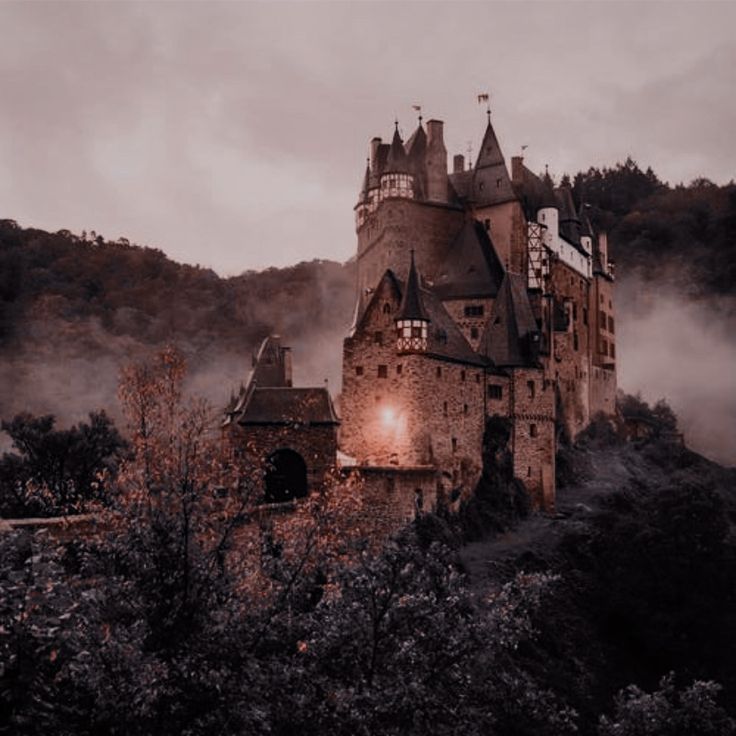 an old castle in the middle of a forest with fog coming off it's sides