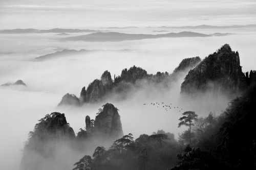 black and white photo of mountains in the fog with birds flying over them on top