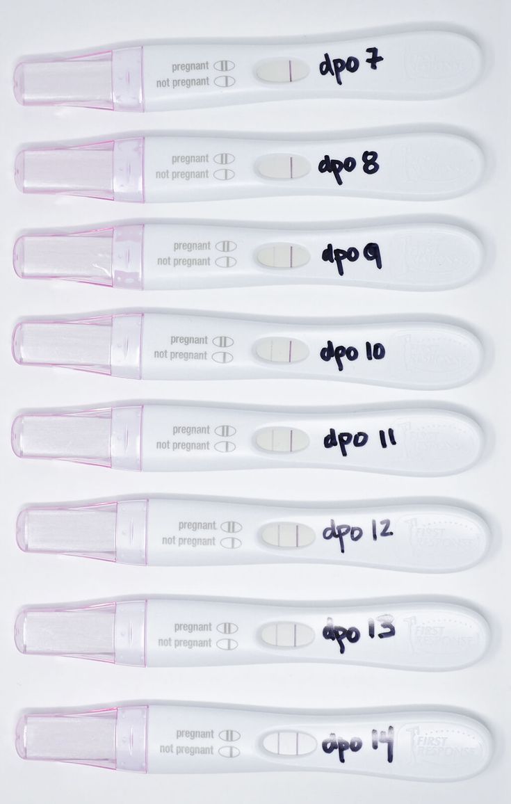 four different types of thermometers are lined up