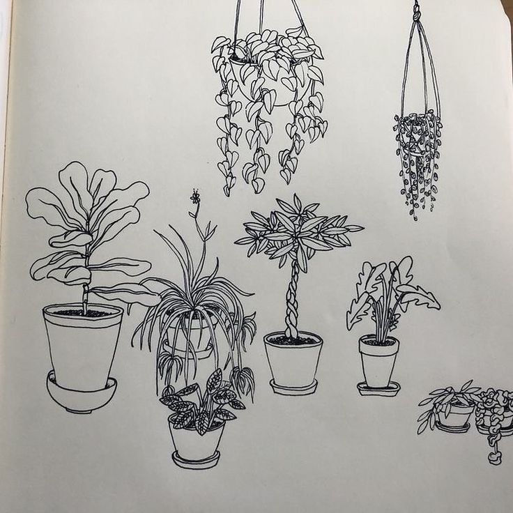 an open book with drawings of potted plants and hanging planters on the pages