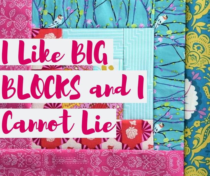 the words i like big blocks and i cannot lie on top of quilted fabric