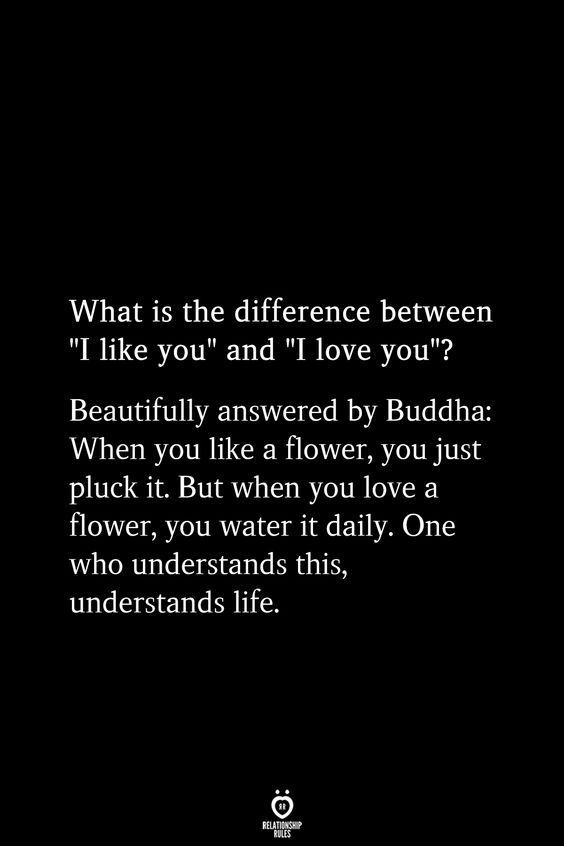 a black and white photo with the words what is the difference between i like you and i love you?