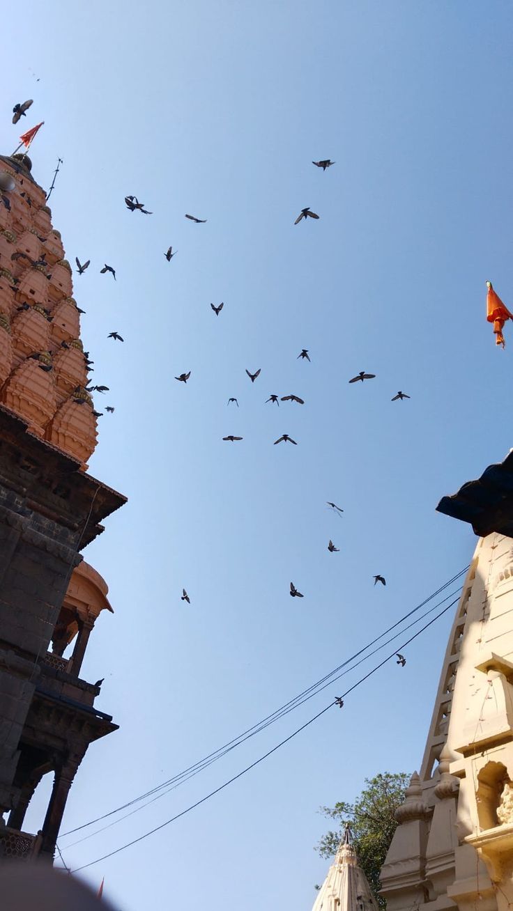 many birds are flying in the sky above some buildings