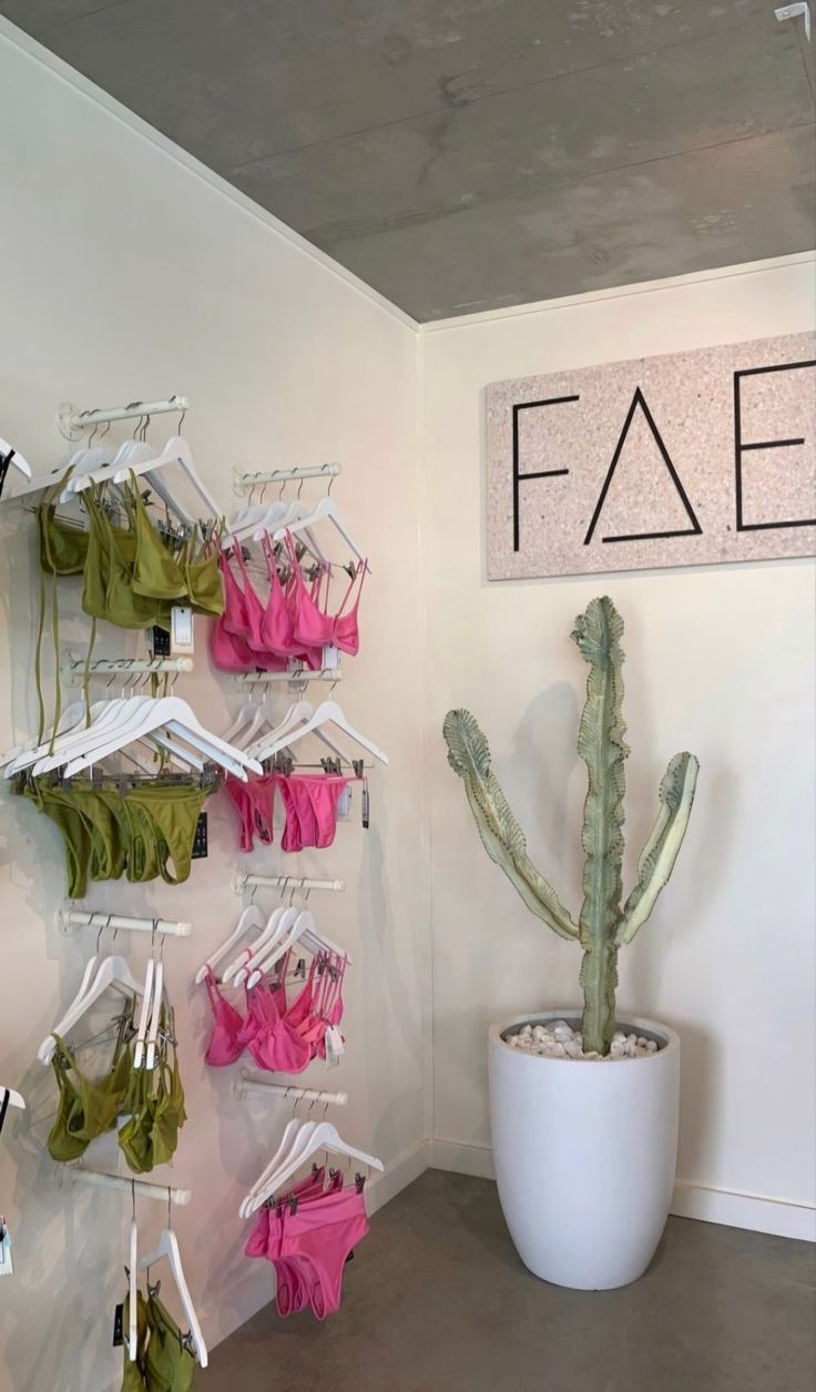 a cactus in a white planter next to some clothes on hangers and a sign that says faze