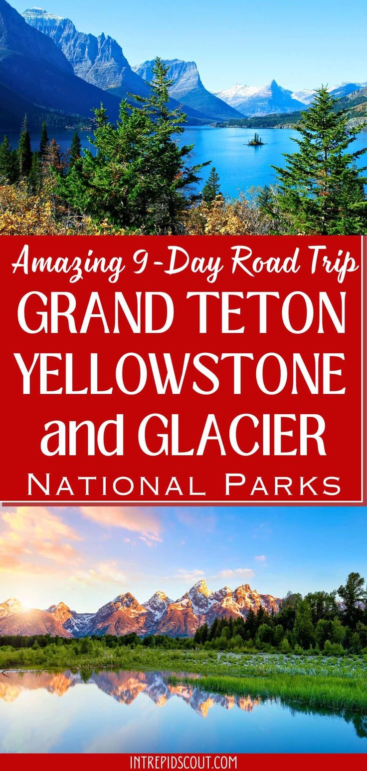 9-Day Grand Teton, Yellowstone, and Glacier Road Trip Yellowstone And Glacier National Park Itinerary, Yellowstone To Glacier Road Trips, Jackson Hole Yellowstone Itinerary, Yellowstone And Glacier Road Trip, Yellowstone Road Trip Itinerary, Yellowstone Trip Planning, Wyoming Montana Road Trip, Yellowstone Vacation Planning, Yellowstone Road Trip