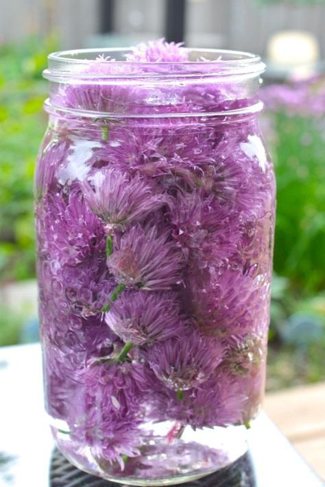 a jar filled with purple flowers sitting on top of a table