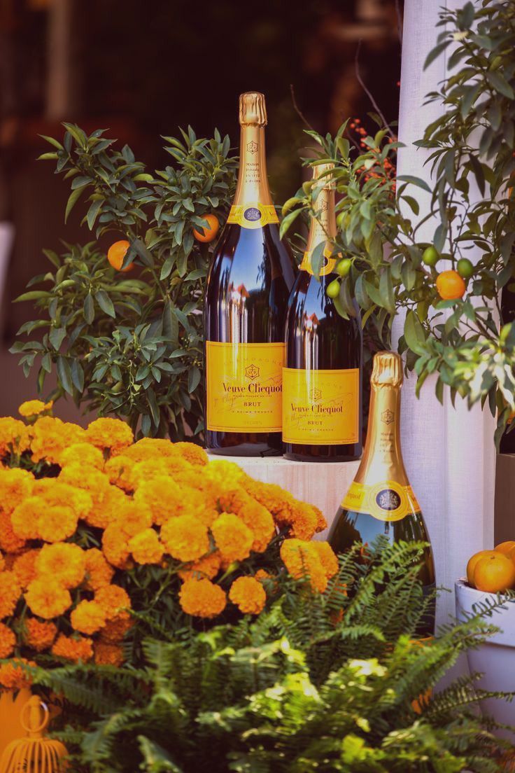 three bottles of champagne sitting next to orange flowers