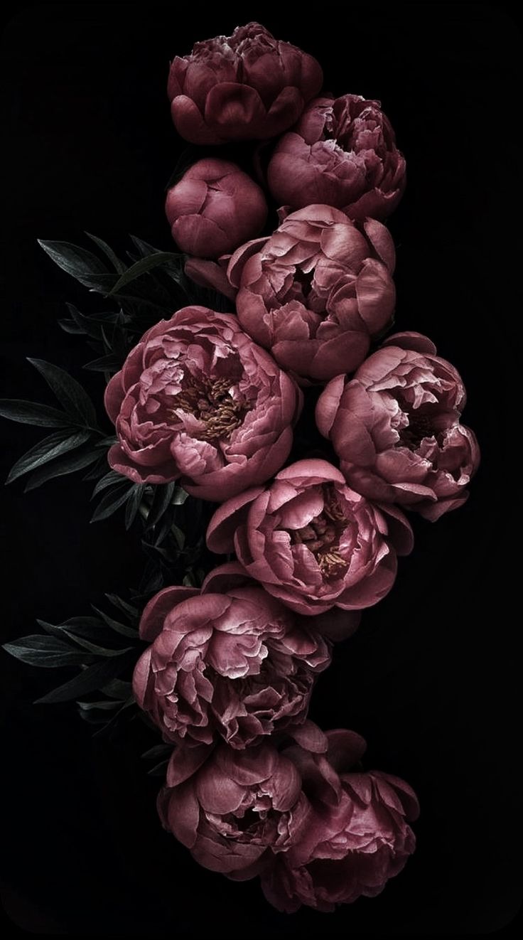 a bunch of flowers that are on a black background with green leaves in the middle