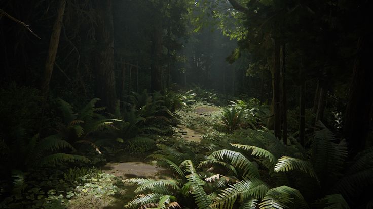 the sun shines through the trees and leaves in the forest, as it is surrounded by ferns