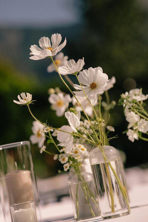 some white flowers are in vases on a table