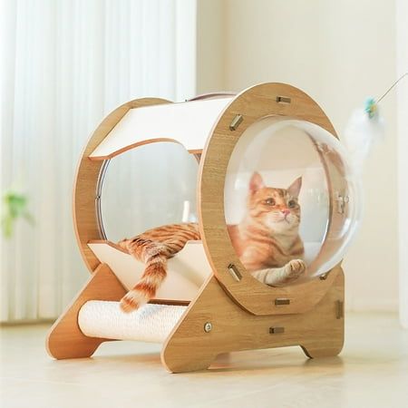 Description Are you still worried that your cat has nowhere to sharpen its claws and scratch the sofa, or are you still worried about your cat not having a suitable place to live? Then come to see our cat bed capsule, clear capsule design allows you to clearly see your cat, and with its beautiful shape and coordinated color scheme, it can fit well into your furniture decor. Key Features Build to Last: It is made of MDF, cloth, sisal, and plastic and adopts a veneering process, making it robust, Cat Scratcher Post, Capsule Design, Gato Grande, Space Capsule, Sleeping Kitten, Cat Perch, Furniture Scratches, Cat Bed Furniture, Sisal Rope