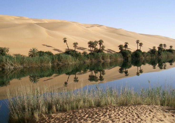 a body of water surrounded by sand dunes and palm trees